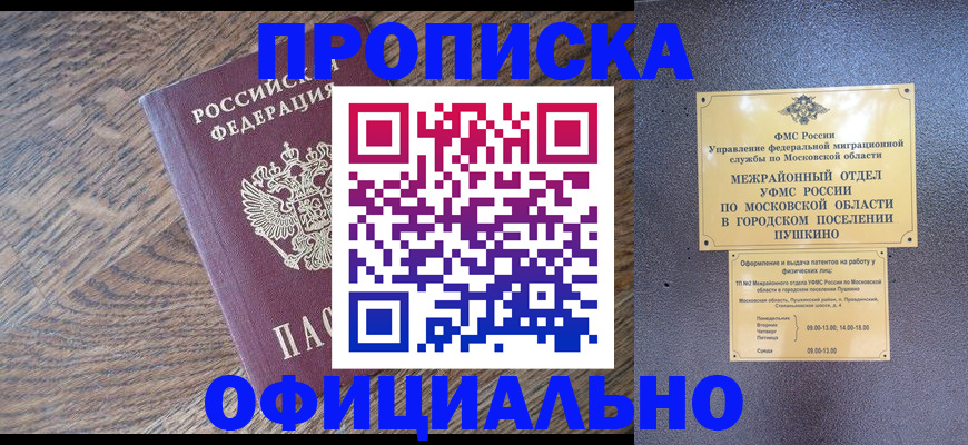 временная регистрация купить в Щёлково